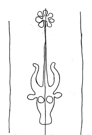 DE4860-Ms537_302