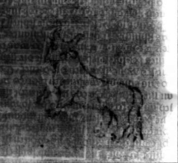 DE5580-2Incca755_V7
