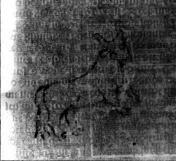 DE5580-2Incca755_V7
