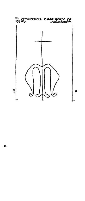 BE5340-PO-28842