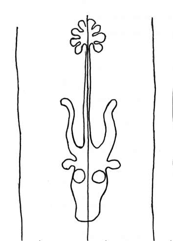 DE4860-Ms509_391