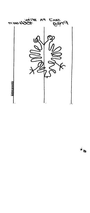 AT3800-PO-42688