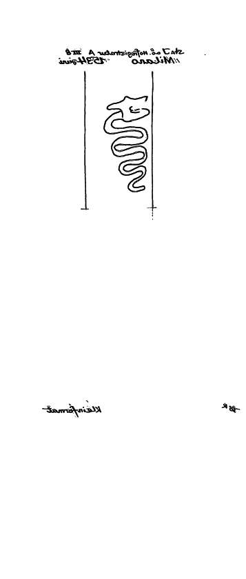 AT3800-PO-43182