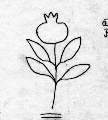 DE5580-Codgraec192_271