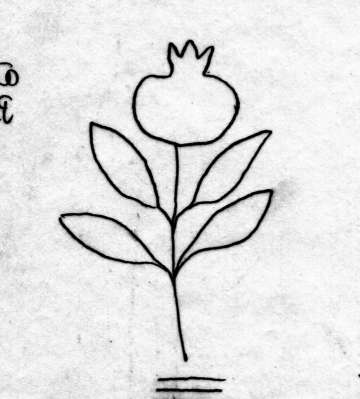 DE5580-Codgraec192_271