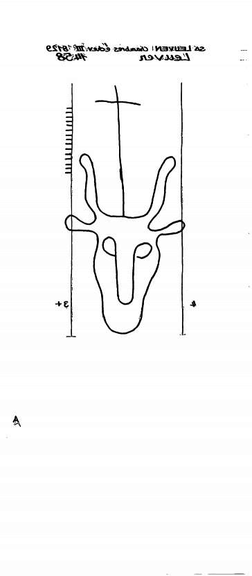 BE4905-PO-79886