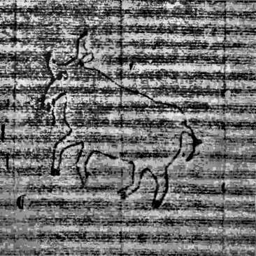 DE0960-Mlf246_17