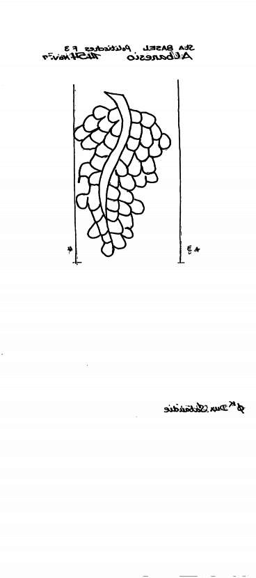 CH0780-PO-128938