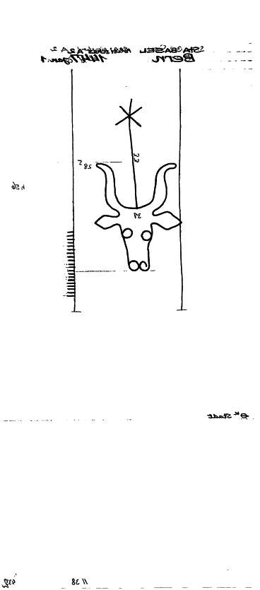 CH0780-PO-75455