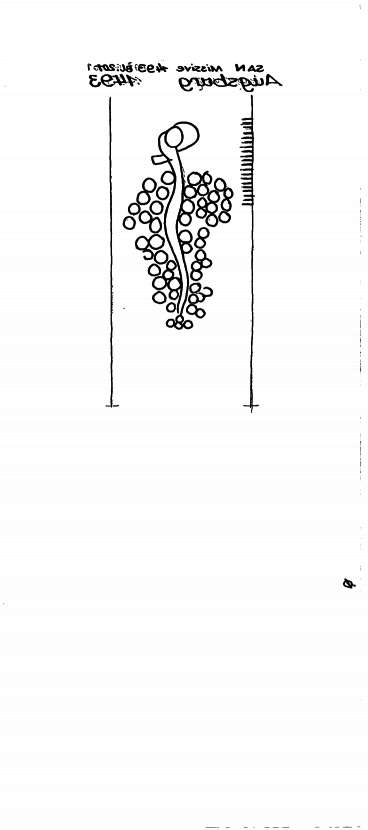 DE6300-PO-129383