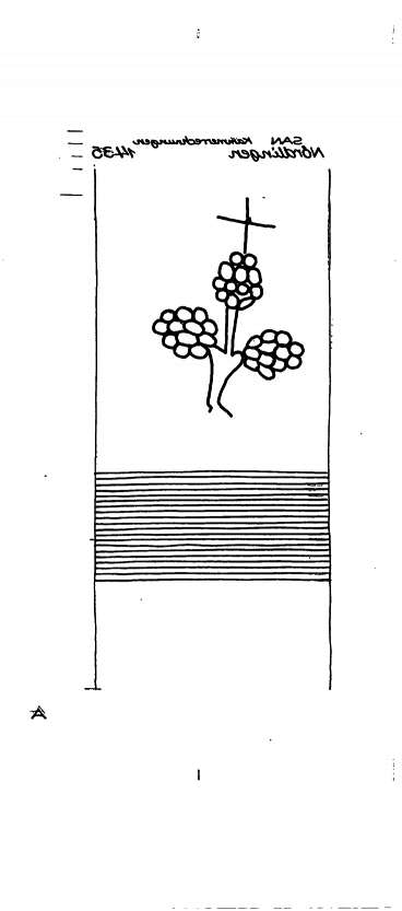 DE6300-PO-129550