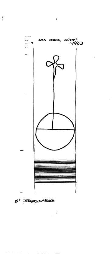 DE6300-PO-161575
