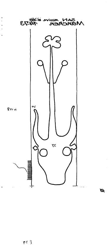 DE6300-PO-70391