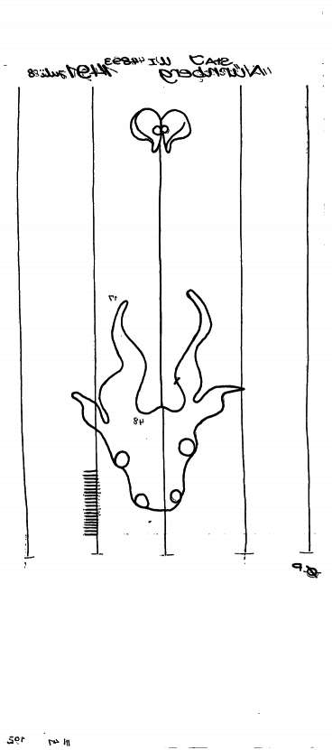 AT3800-PO-71925