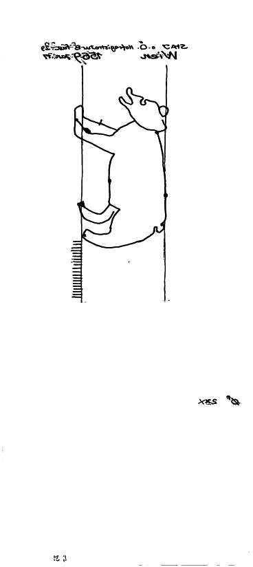 AT3800-PO-83902