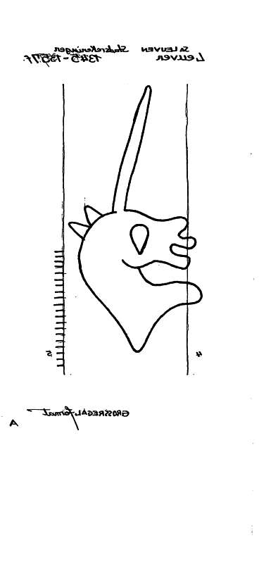 BE4905-PO-124848