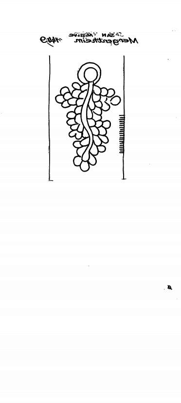 DE6300-PO-129081