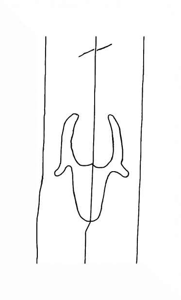 DE8310-Mc328_215