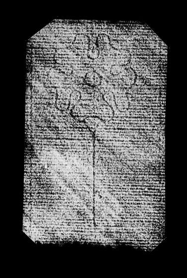 DE4860-Ms550_4