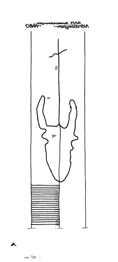 DE6300-PO-58896
