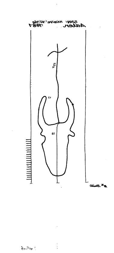 DE6300-PO-58924