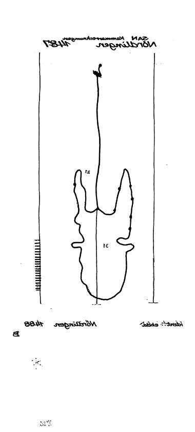 DE6300-PO-62374