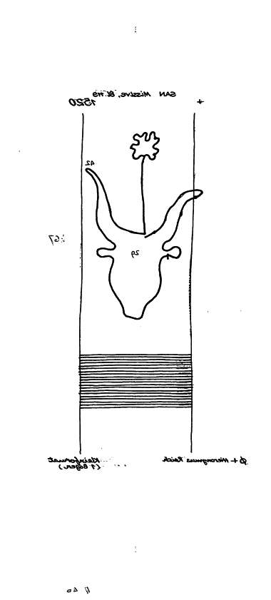 DE6300-PO-63174