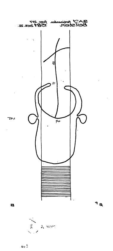 AT3800-PO-61016