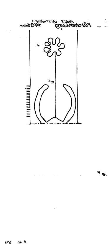 AT3800-PO-65666
