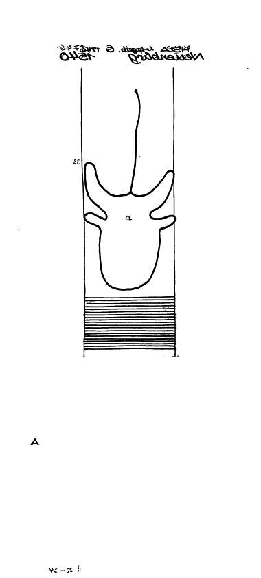 DE8085-PO-58791