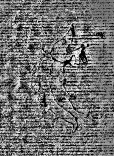 DE0960-Mlf387_81