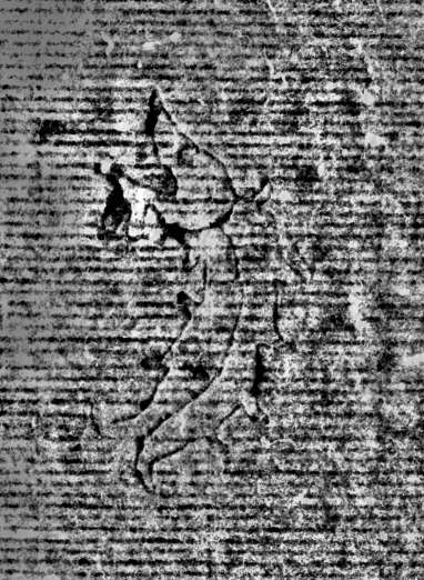 DE0960-Mlf387_81