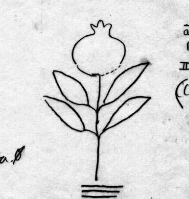 DE5580-Codgraec192_136