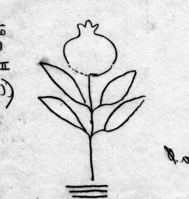 DE5580-Codgraec192_136