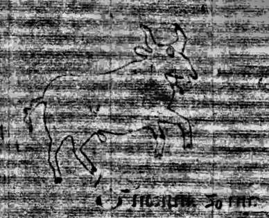 DE0960-Mlf246_1