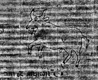 DE0960-Mlf246_1