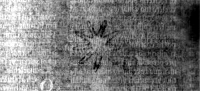 DE5580-2Incca1328_v1