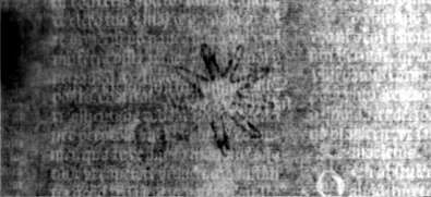 DE5580-2Incca1328_v1
