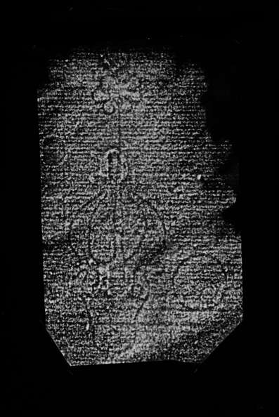 DE4860-Ms516_269
