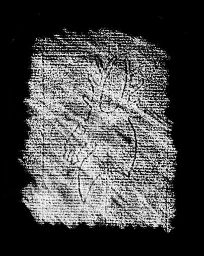 DE4860-Ms1471_182