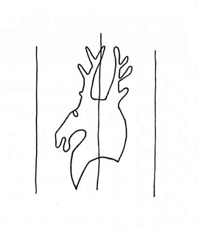 DE4860-Ms591_146