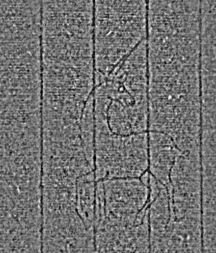 DE4795-GoS19_4