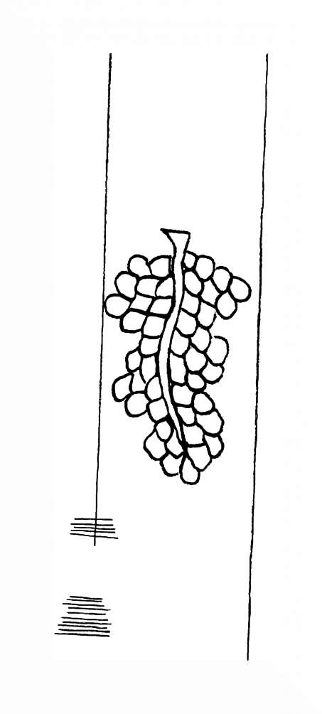 DE8310-Mc6_365