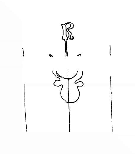 DE8310-De4Quart_292