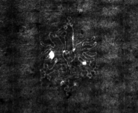 DE4815-DNB-L-WZ-0000702