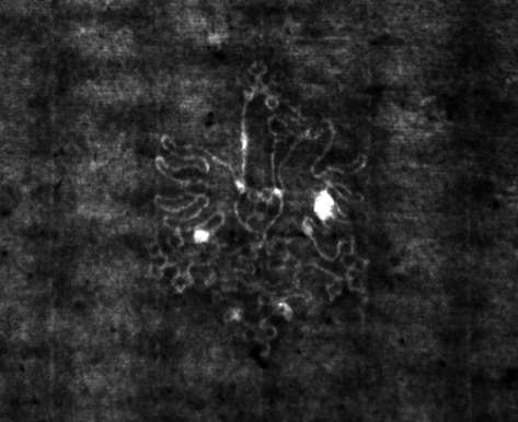 DE4815-DNB-L-WZ-0000702