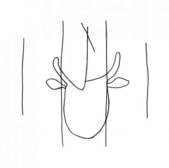 DE4860-Ms769_27