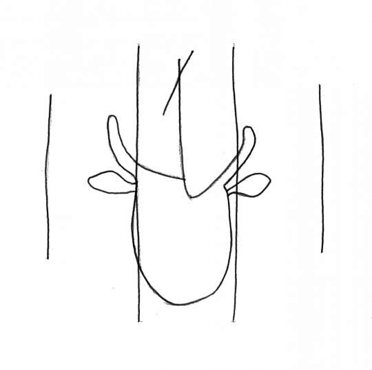 DE4860-Ms769_27