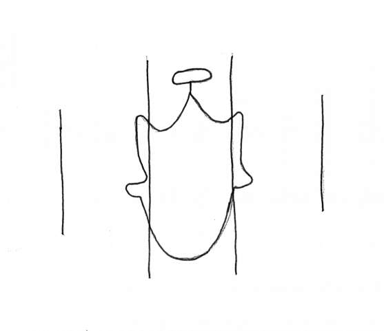 DE4860-Ms769_1